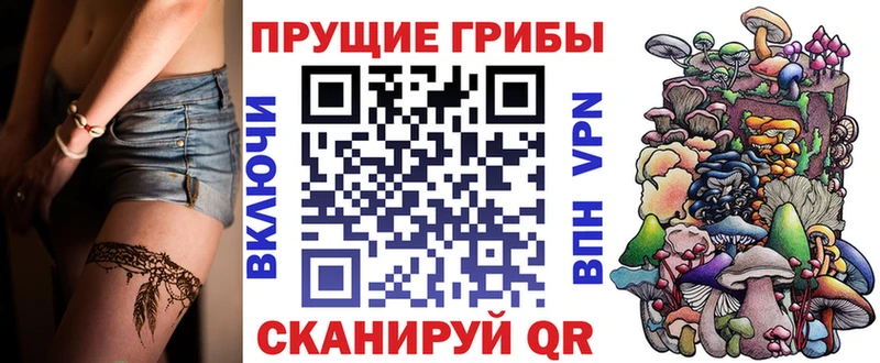 сколько стоит  Пущино  МЕГА ONION  Псилоцибиновые грибы Psilocybine cubensis 